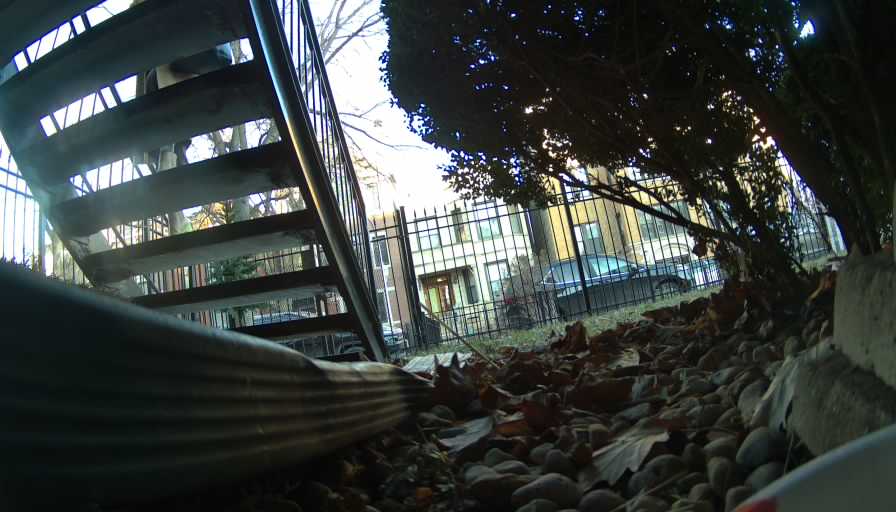 Reolink Camera Two_01_Reolink Home Hub One_20250117155536.jpg